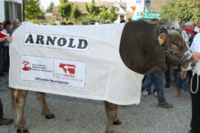 Blachen nach Mass - Massanzug für Muni