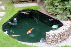 Teichabdichtung - Koiteich in Tropfenform