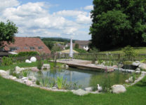 Teichabdichtung - Mini-Schwimmteich