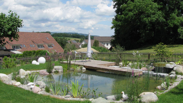 Teichabdichtung - Mini-Schwimmteich