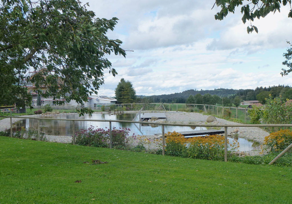 Teichabdichtungen - Schwimmteich 2 Jahre nach Erstellung