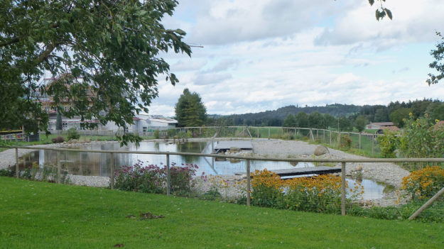 Teichabdichtungen - Schwimmteich 2 Jahre nach Erstellung
