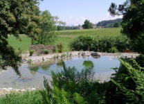 Teichabdichtung - Schwimmteich Wil