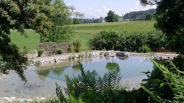 Teichabdichtung - Schwimmteich Wil