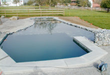 Teichfolie 3D - Schwimmteich Rifferswil