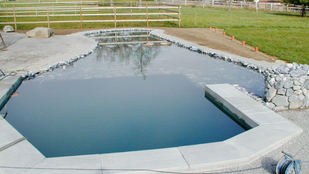 Teichfolie 3D - Schwimmteich Rifferswil